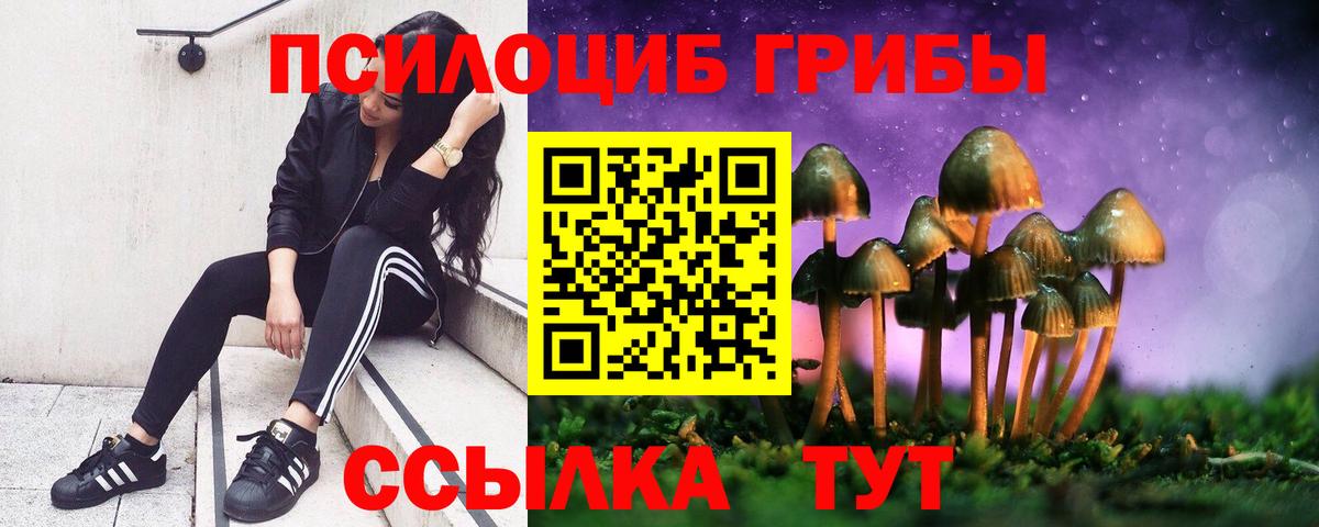 Выкса  Псилоцибиновые грибы MAGIC MUSHROOMS  Вход с VPN 