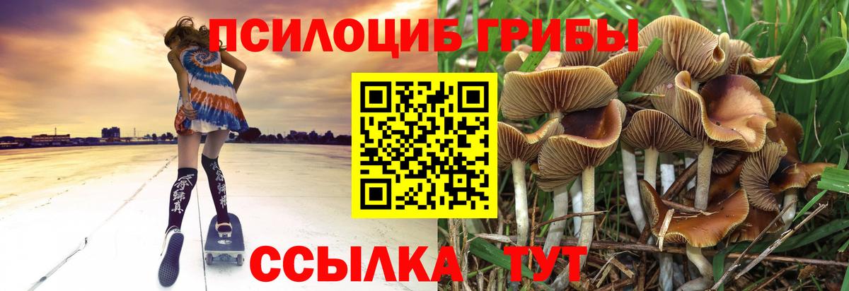 Псилоцибиновые грибы мухоморы Выкса